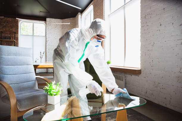 Best Biohazard Mold Removal in Fall City, WA